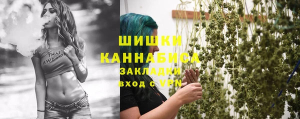 ГАЛЛЮЦИНОГЕННЫЕ ГРИБЫ Кукмор