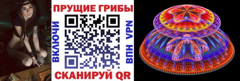 мега как войти  Майский  Псилоцибиновые грибы прущие грибы 
