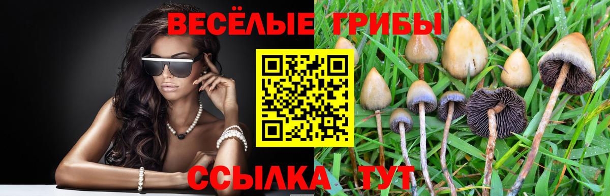 Псилоцибиновые грибы Psilocybe  Галлюциногенные грибы MAGIC MUSHROOMS  Вход с VPN  Майский 